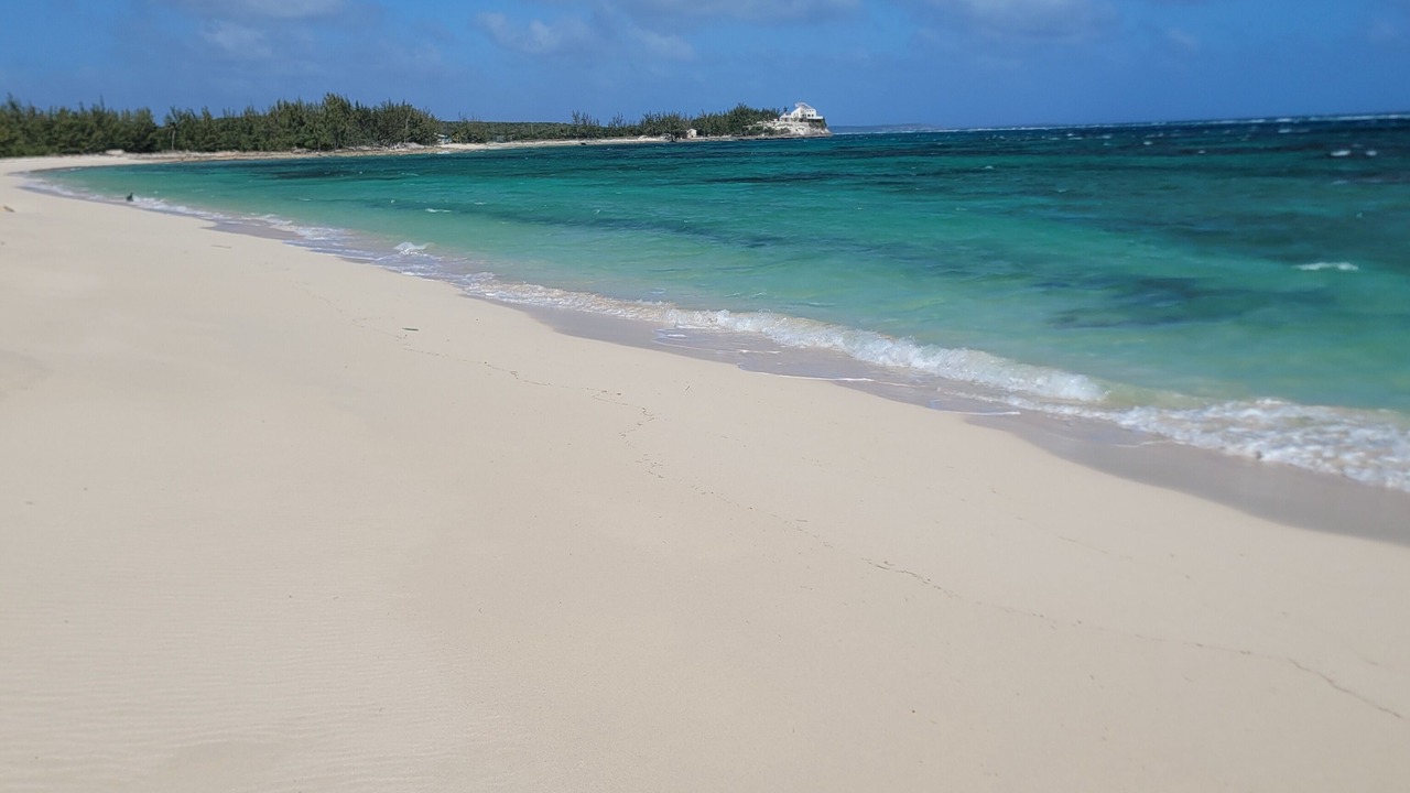 Photo of Others in Port Howe