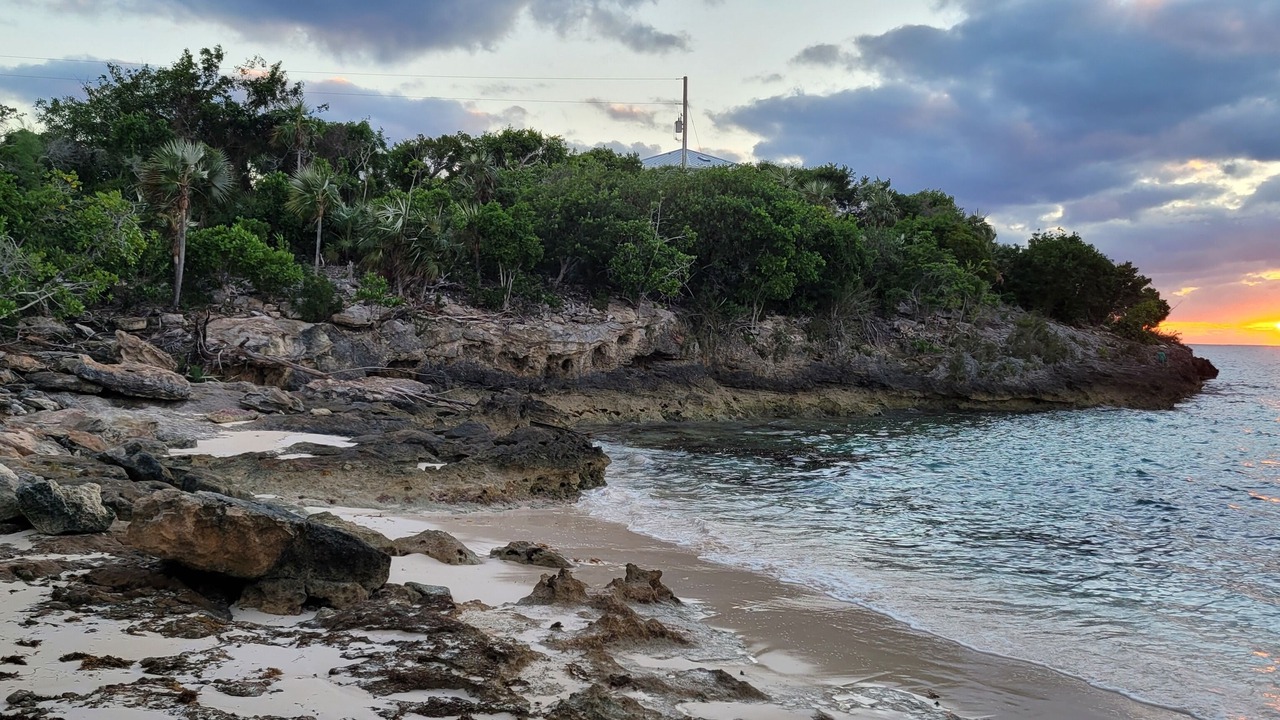 Photo of Others in Port Howe