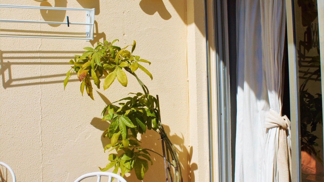 Photo of Outdoor in Olhos D'Agua