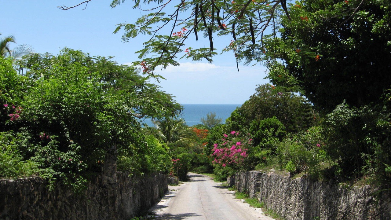 Photo of Others in Double Bay