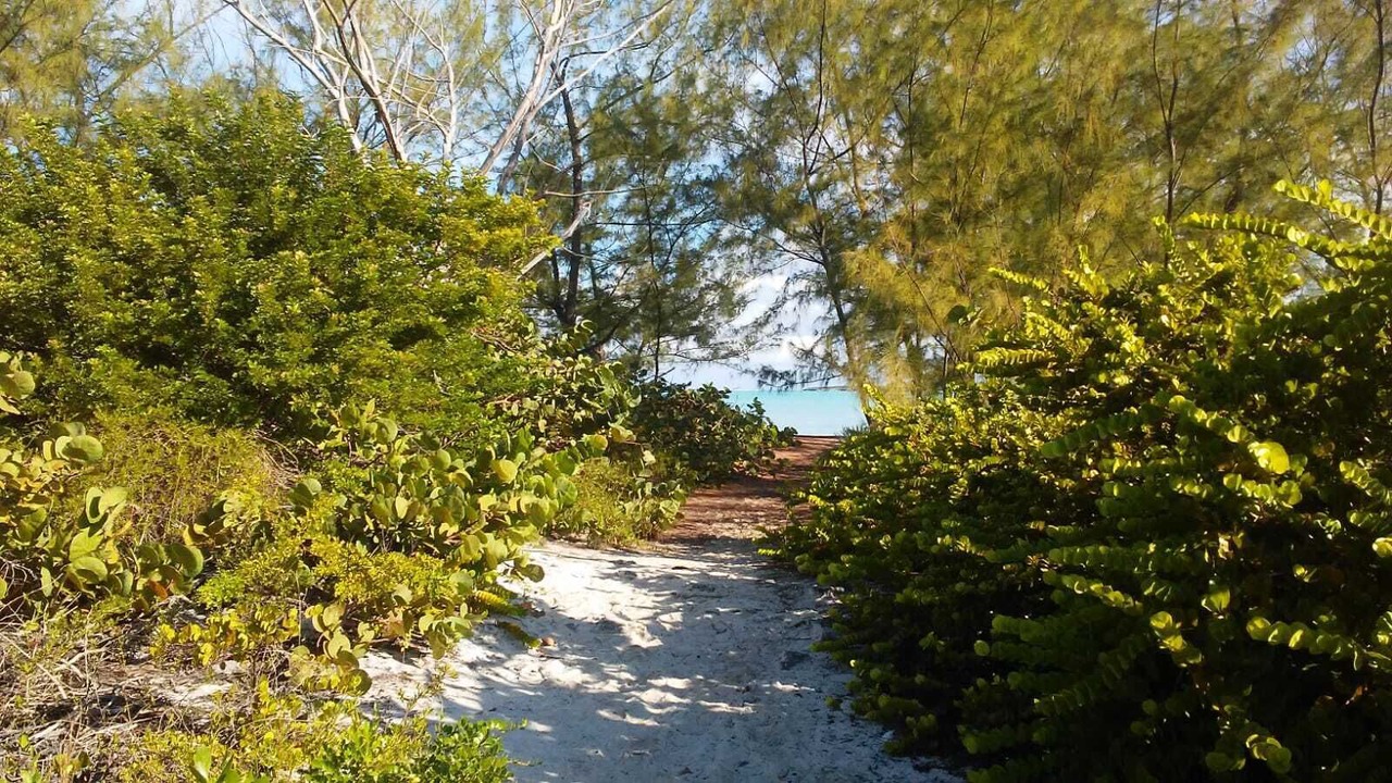 Photo of Outdoor in Jimmy Hill