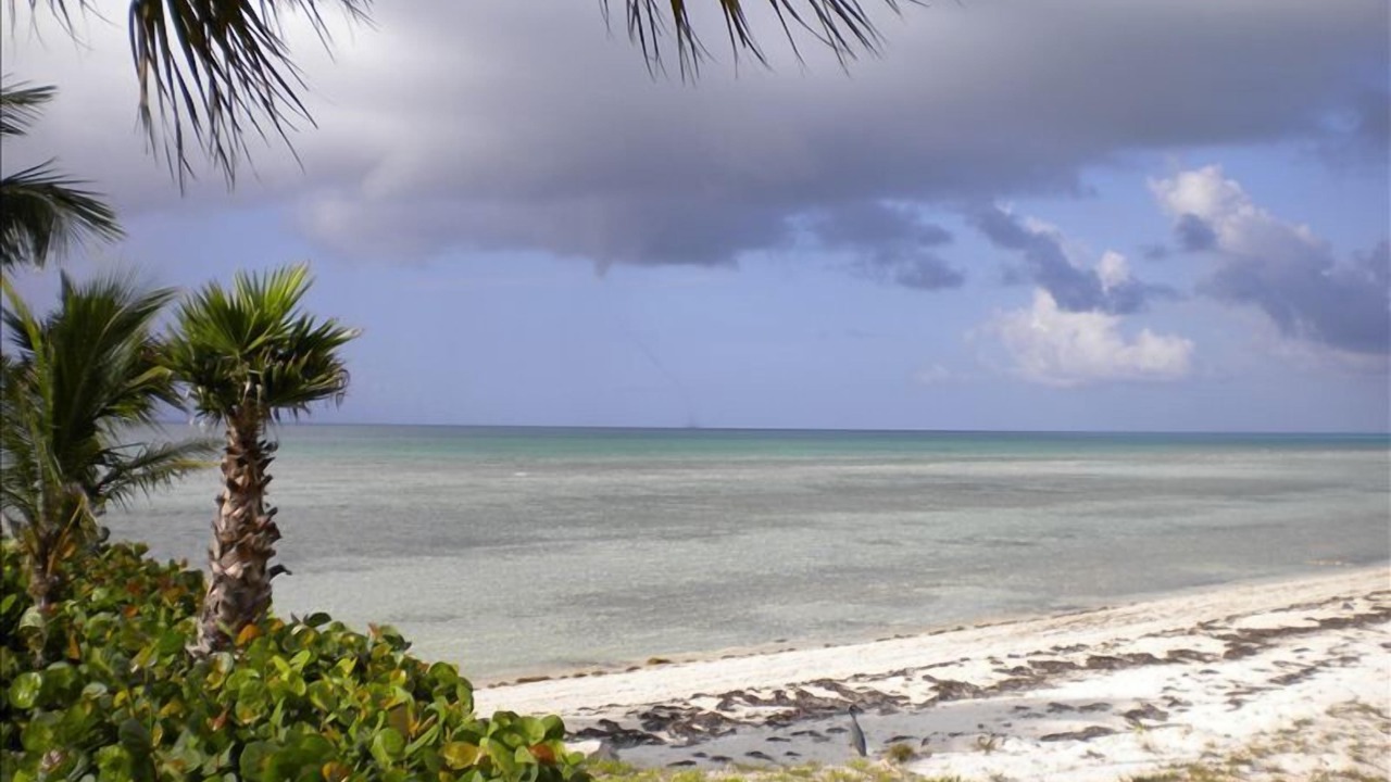 Photo of Others in Freeport