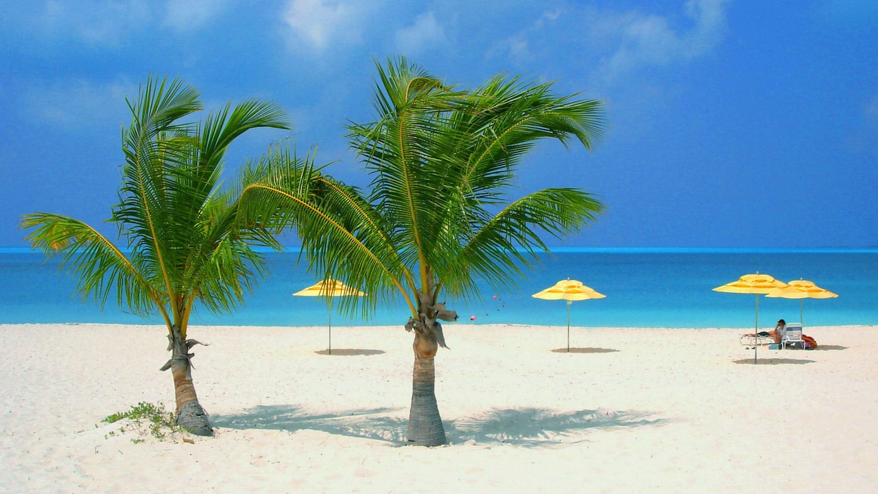 Photo of Others in Treasure Cay