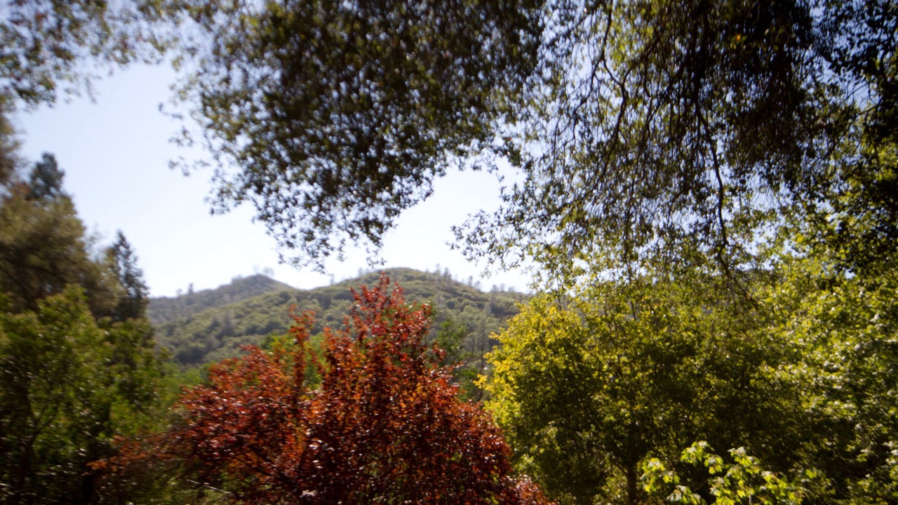 Photo of Outdoor in Sonora