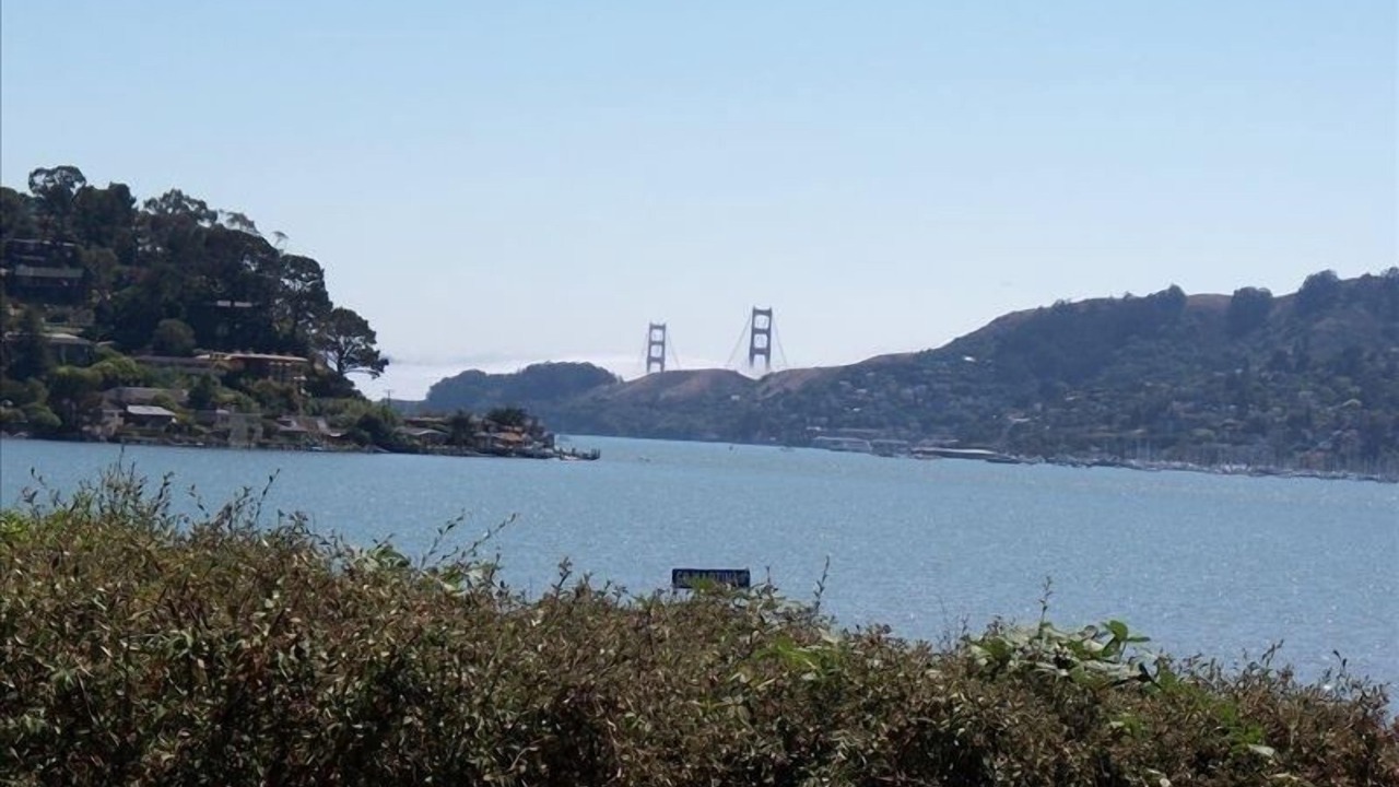 Photo of Others in Belvedere Tiburon