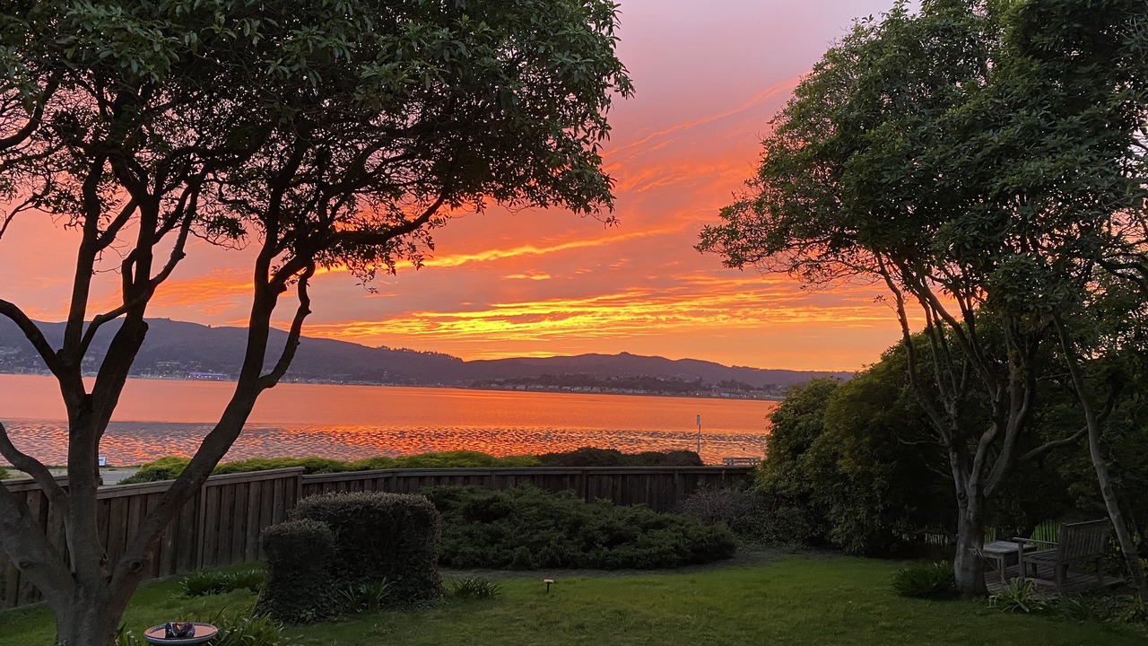 Photo of Others in Belvedere Tiburon