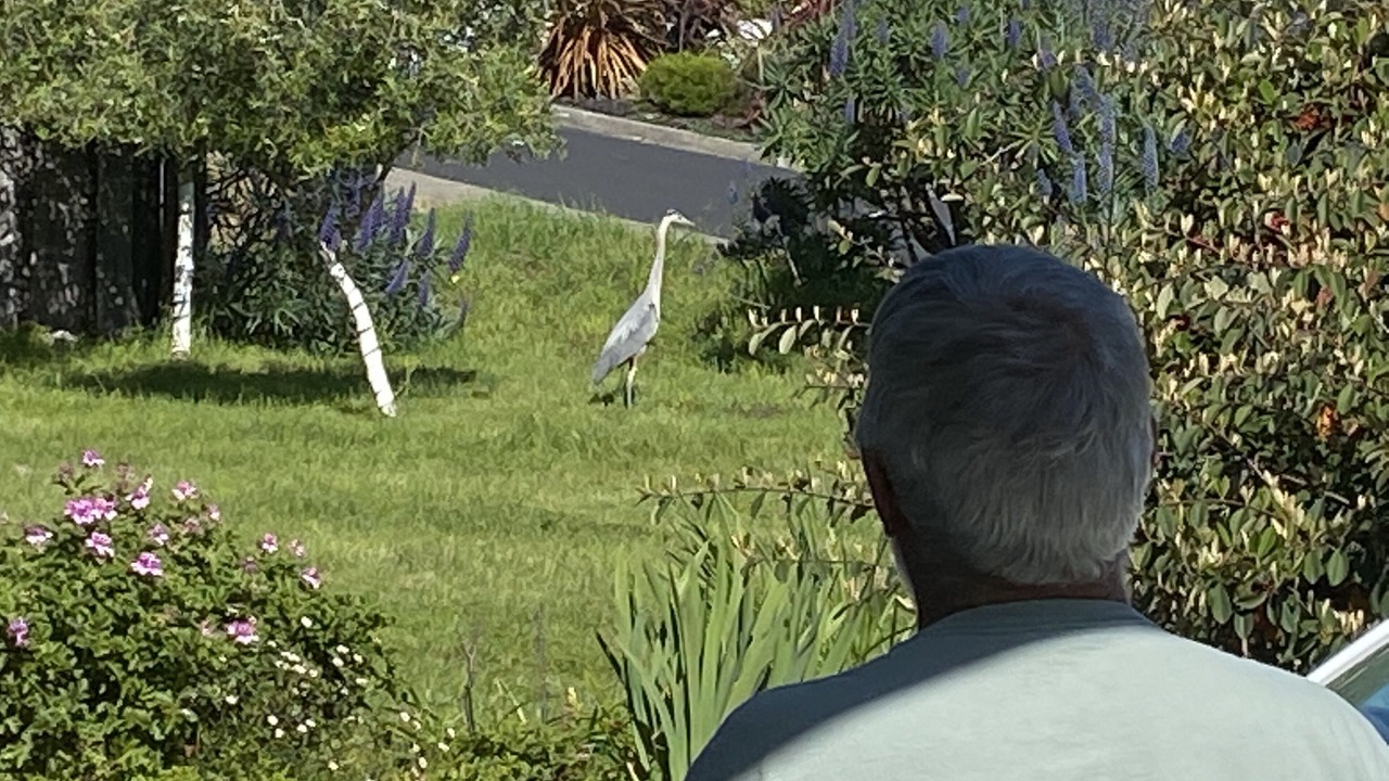 Photo of Others in Belvedere Tiburon