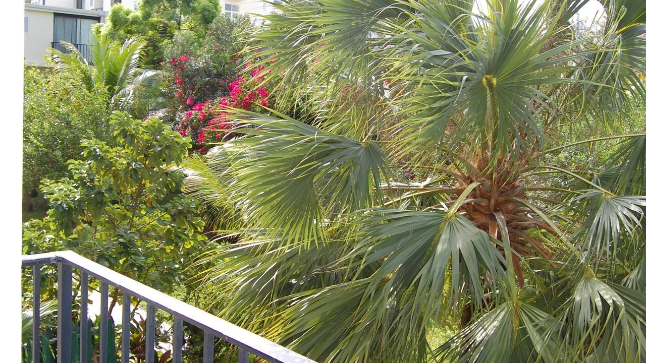 Photo of Patio Balcony in Williams Town