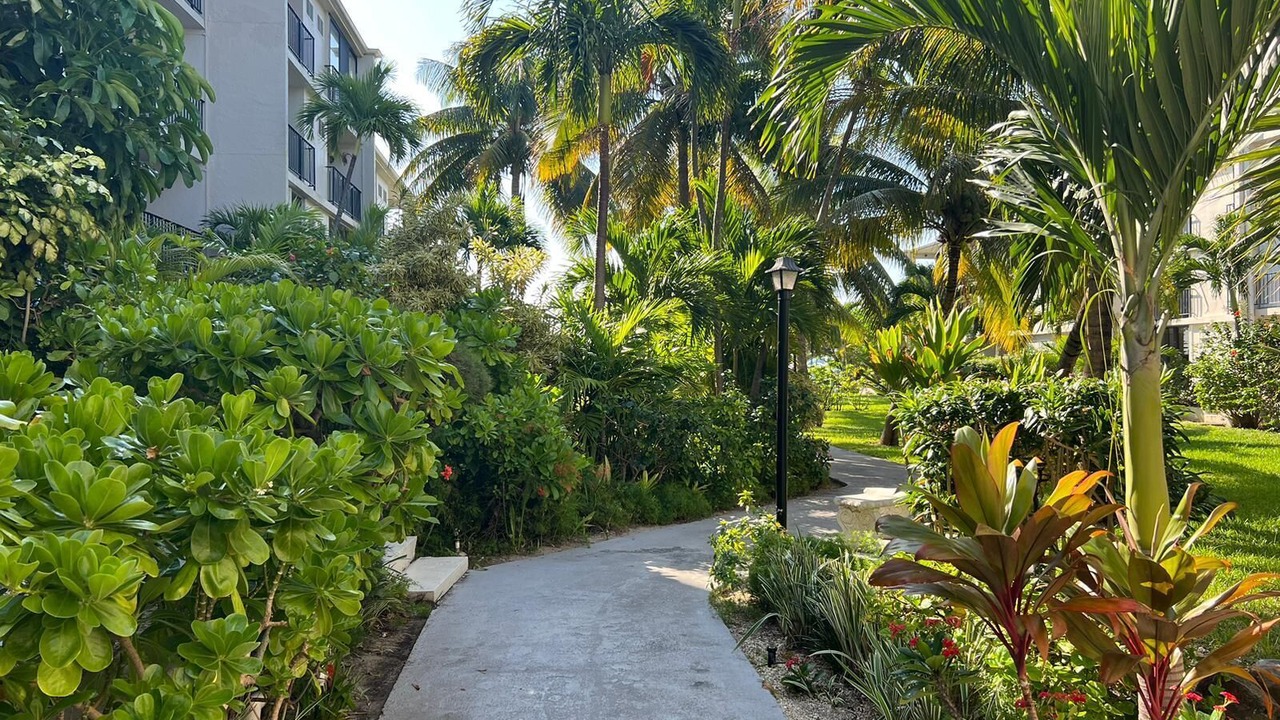 Photo of Outdoor in Williams Town