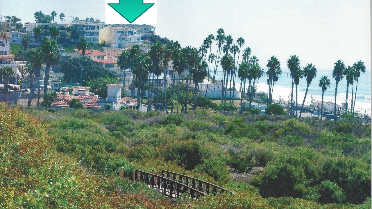 Photo of Others in San Clemente