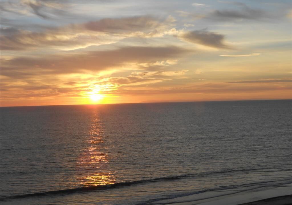 Photo of Others in San Clemente