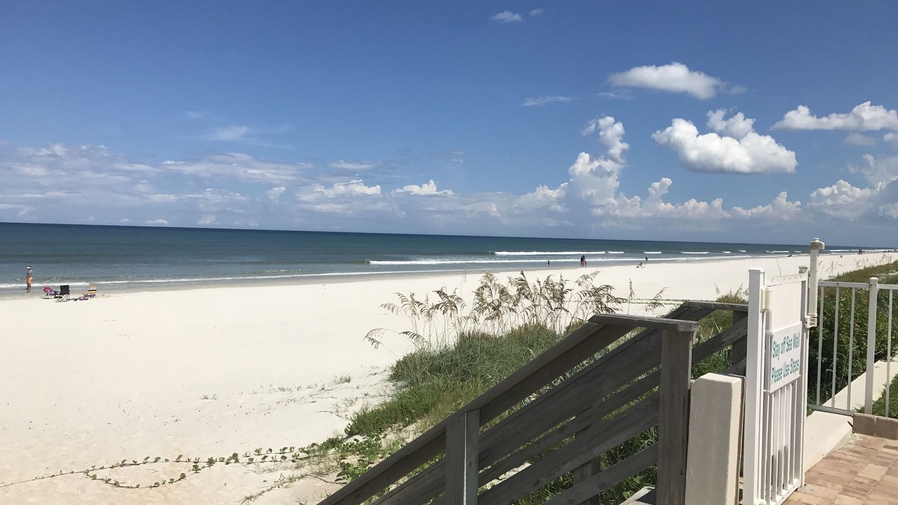 Photo of Others in New Smyrna Beach