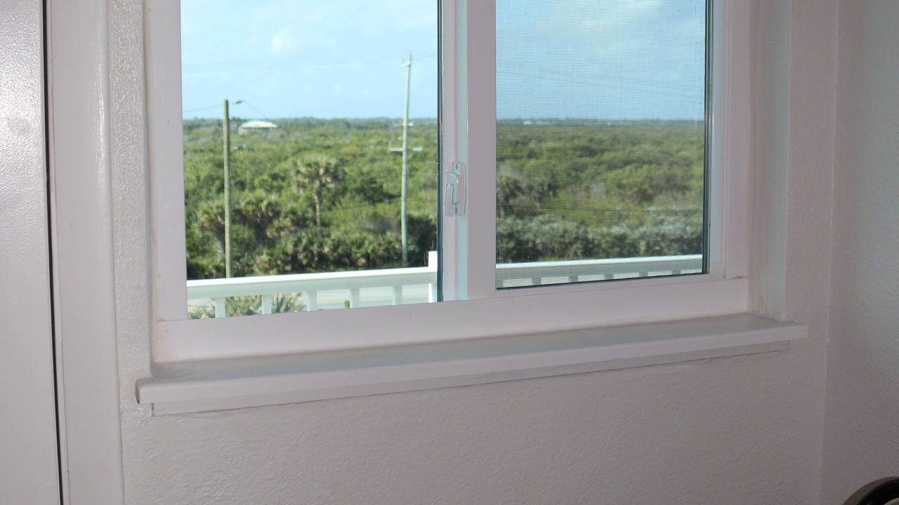 Photo of Others in New Smyrna Beach