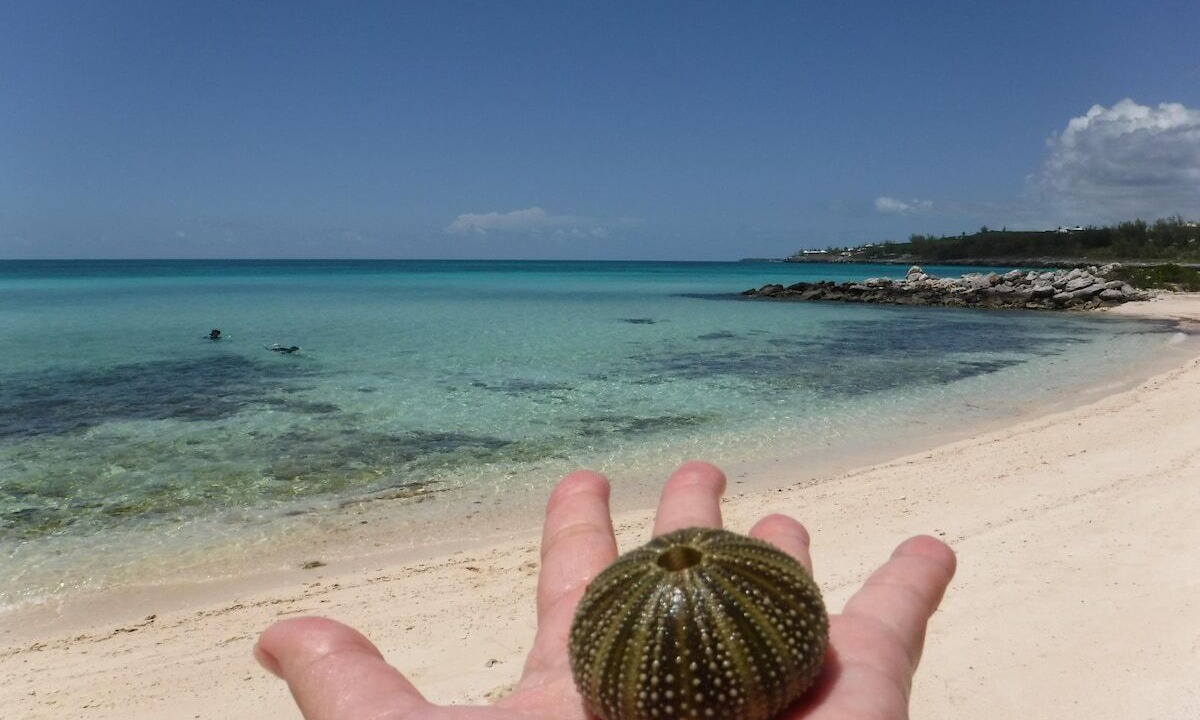 Photo of Others in Rainbow Bay