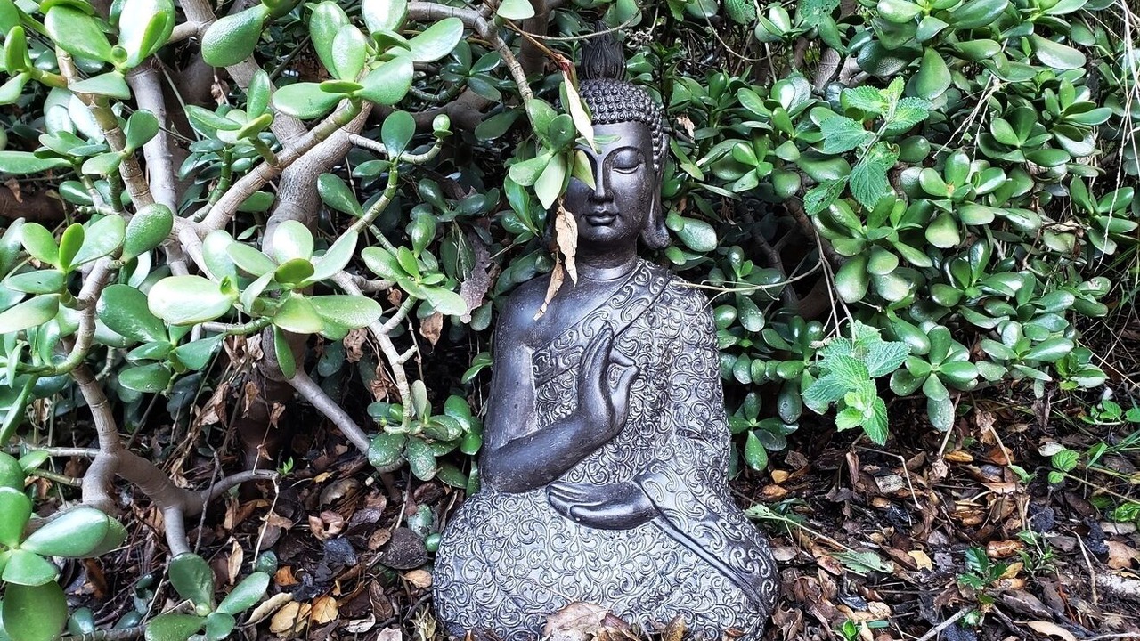 Photo of Others in Hollywood Hills West