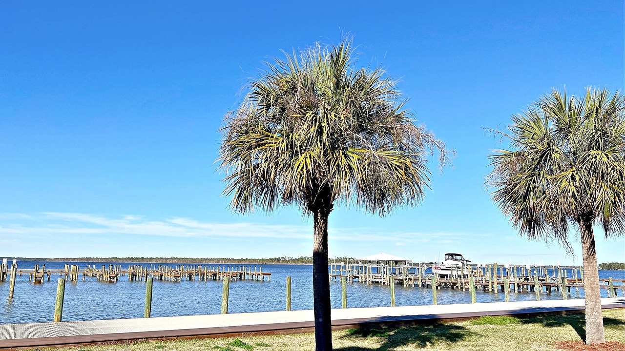 Photo of Others in Orange Beach