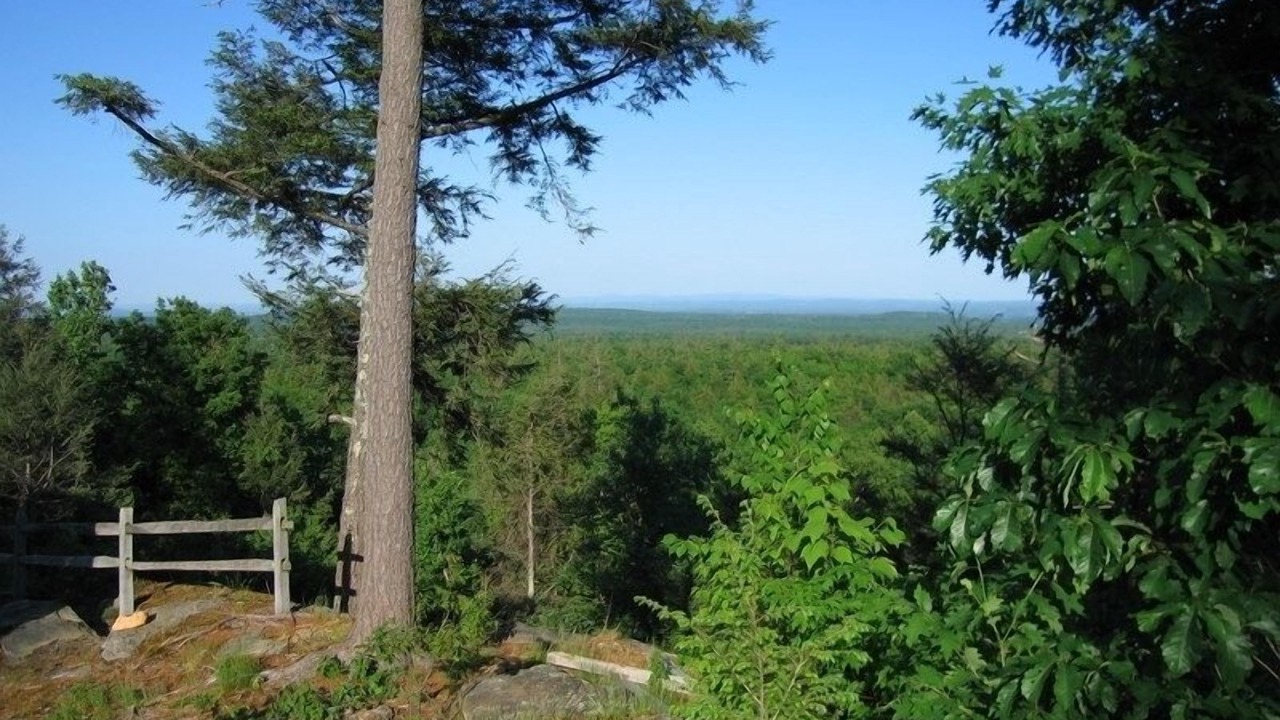 Photo of Outdoor in West Saugerties