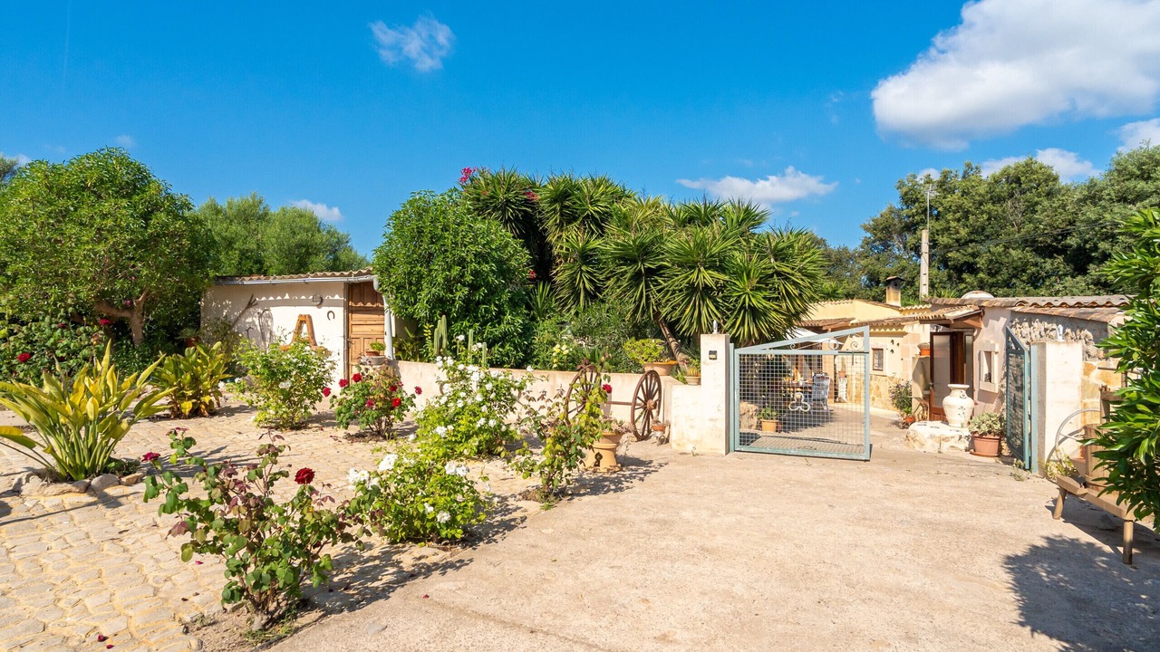 Photo of Outdoor in Arta