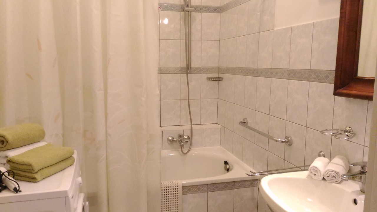 Photo of Bathroom in 13th District