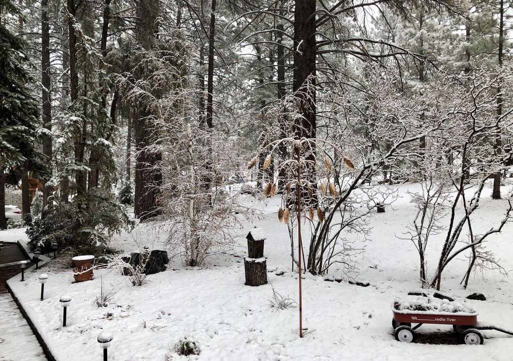 Photo of Outdoor in Pine Mountain Club