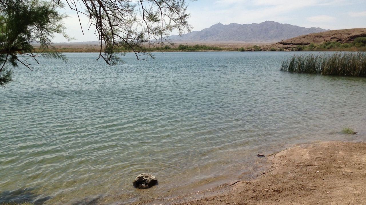 Photo of Others in Desert Hills