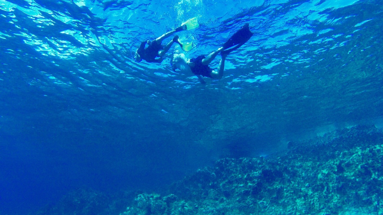 Photo of Others in Port Royal