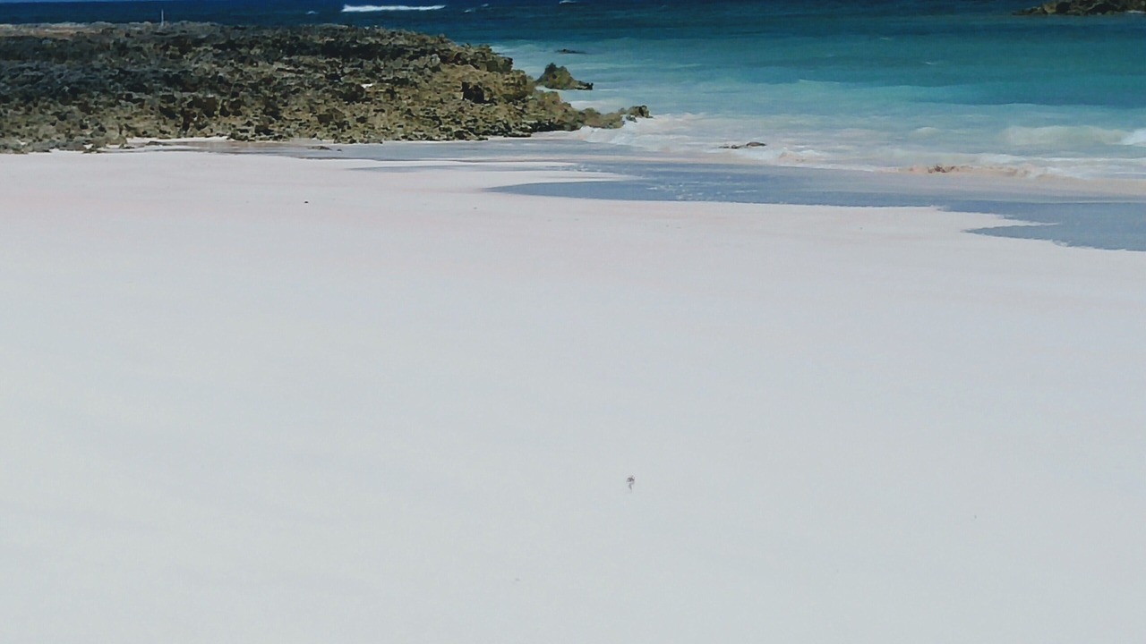 Photo of Others in Governor's Harbour