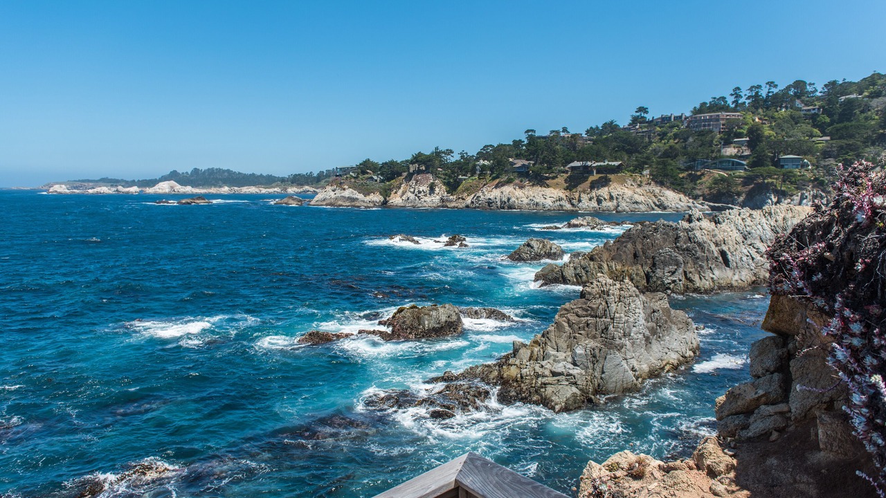 Photo of Others in Carmel Highlands