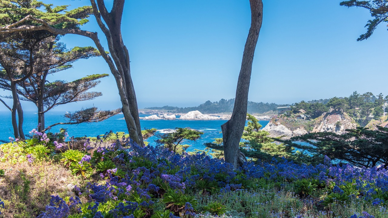 Photo of Outdoor in Carmel Highlands