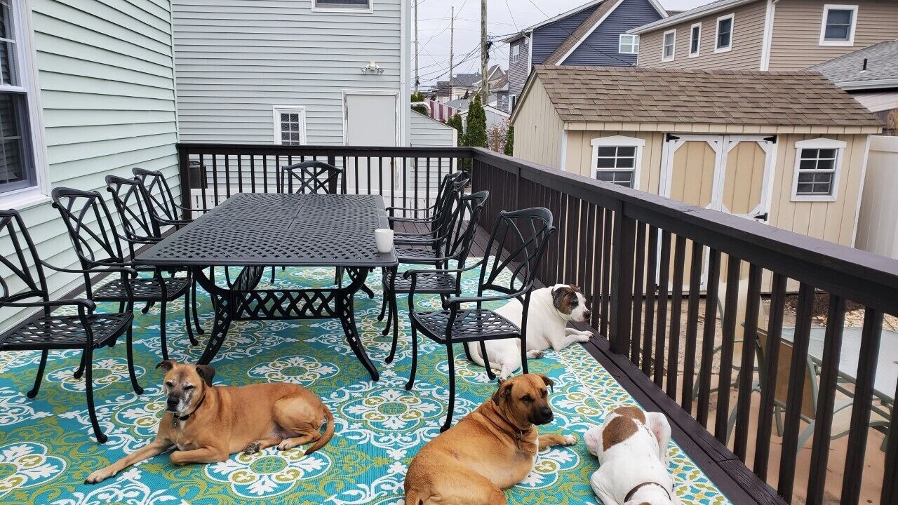Photo of Outdoor in Normandy Beach