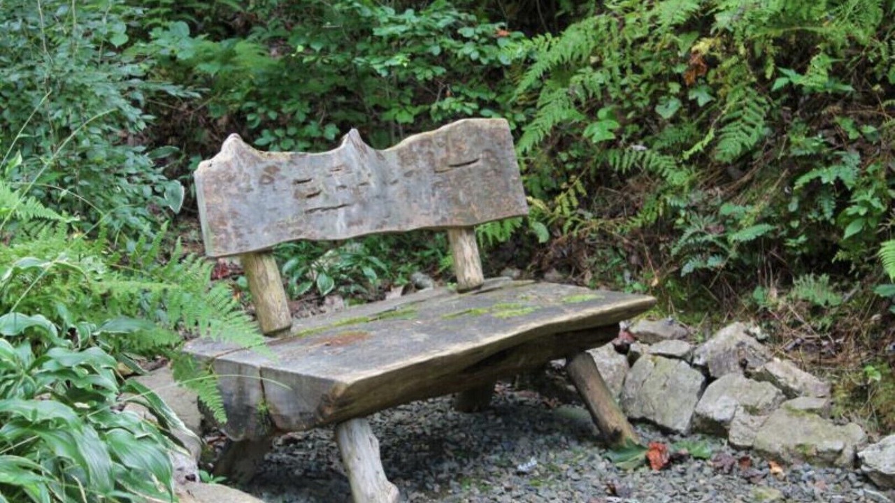 Photo of Outdoor in Fancy Gap