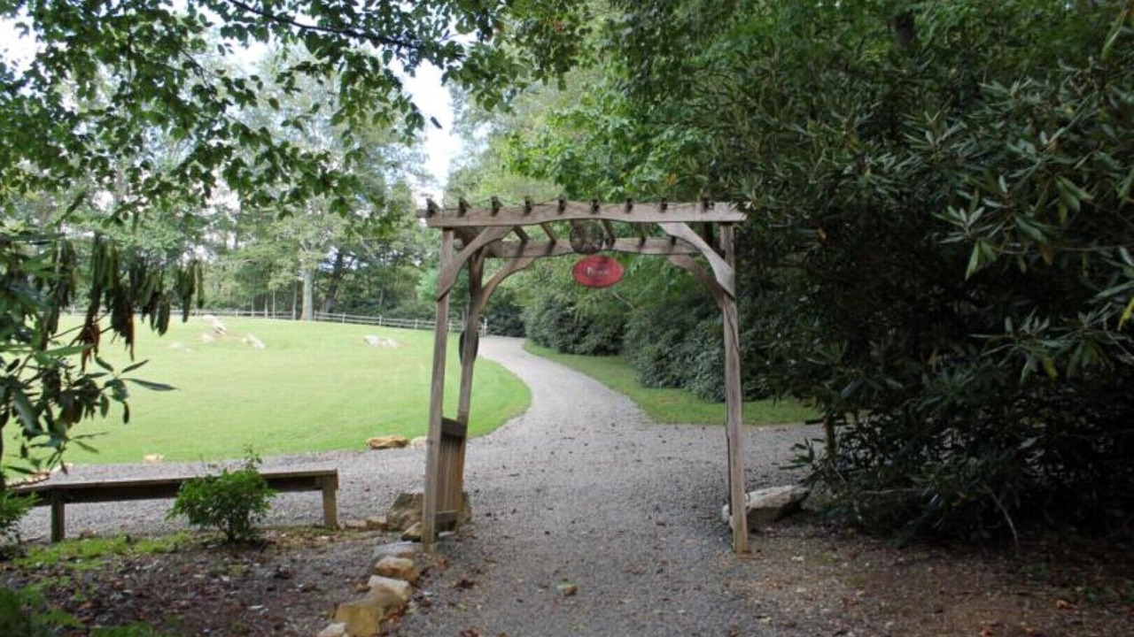 Photo of Outdoor in Fancy Gap