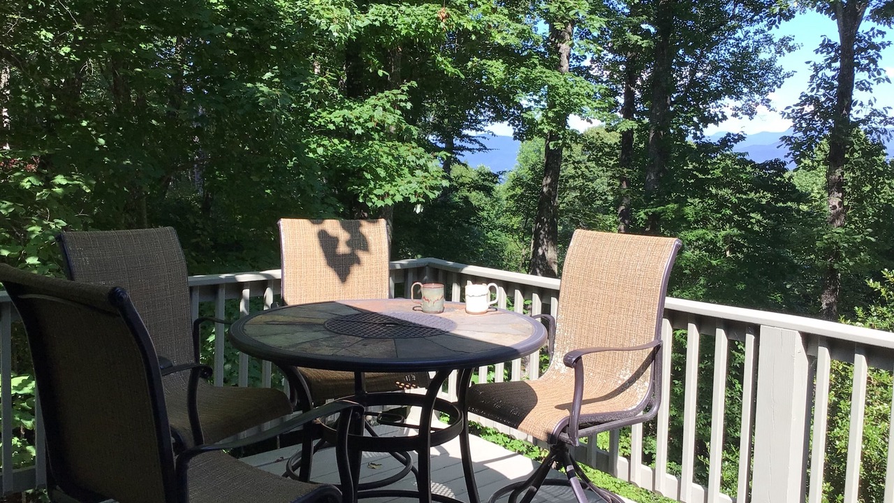 Photo of Outdoor in Pisgah Forest