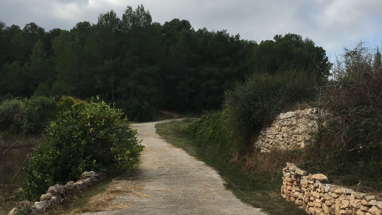 Photo of Others in La Riera de Gaia