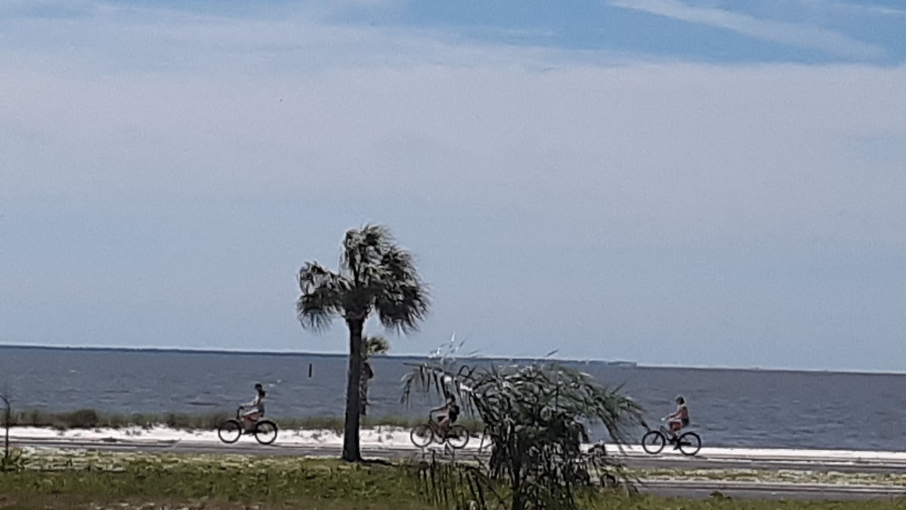 Photo of Others in Long Beach