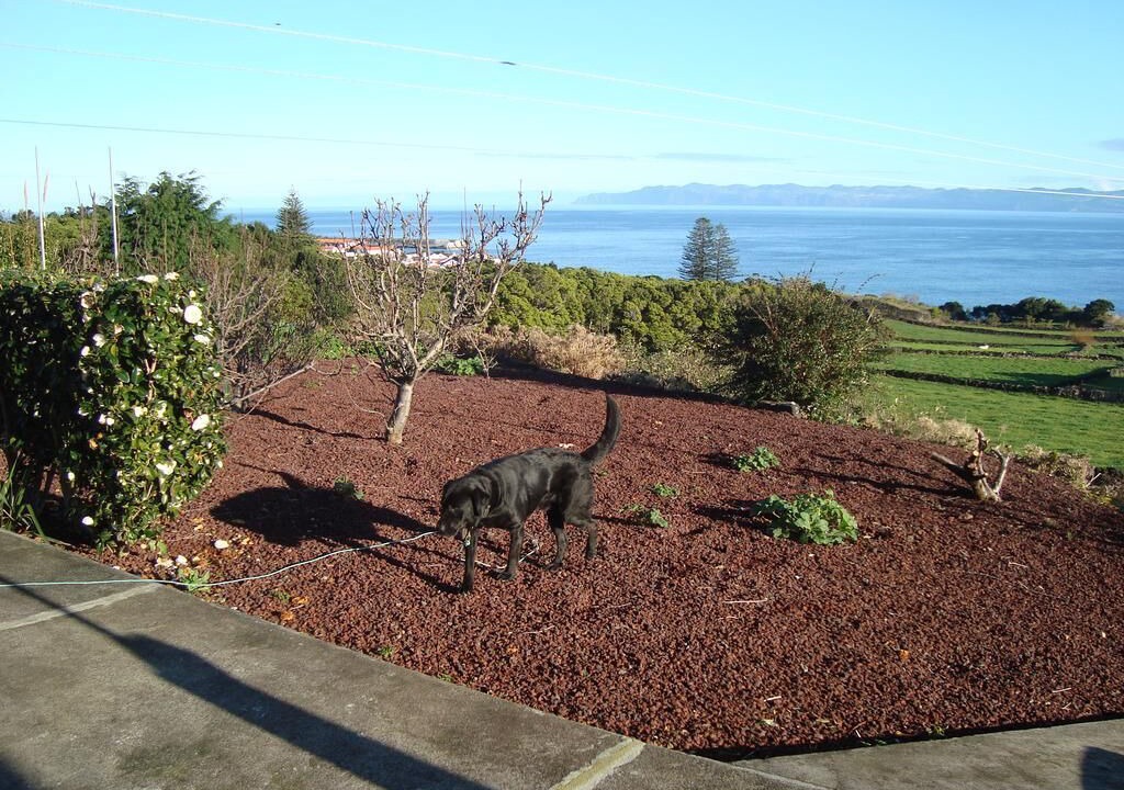 Photo of Others in Cais do Pico