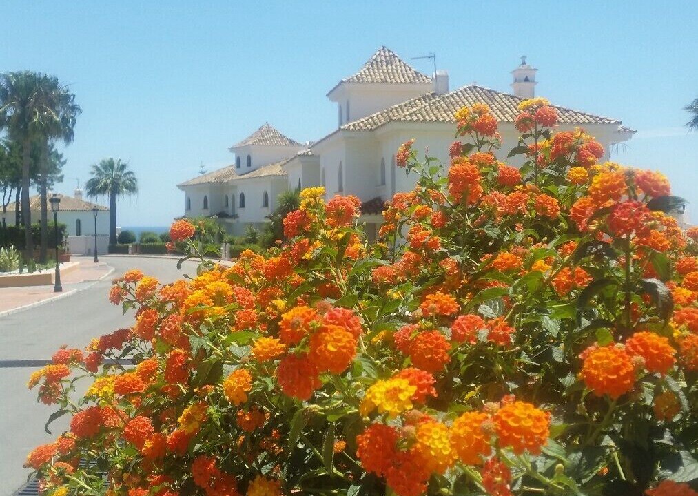 Photo of Outdoor in Castillo de Sabinillas