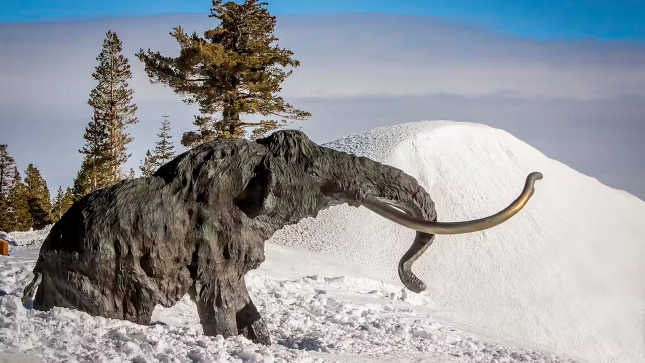 Photo of Others in Mammoth Lakes