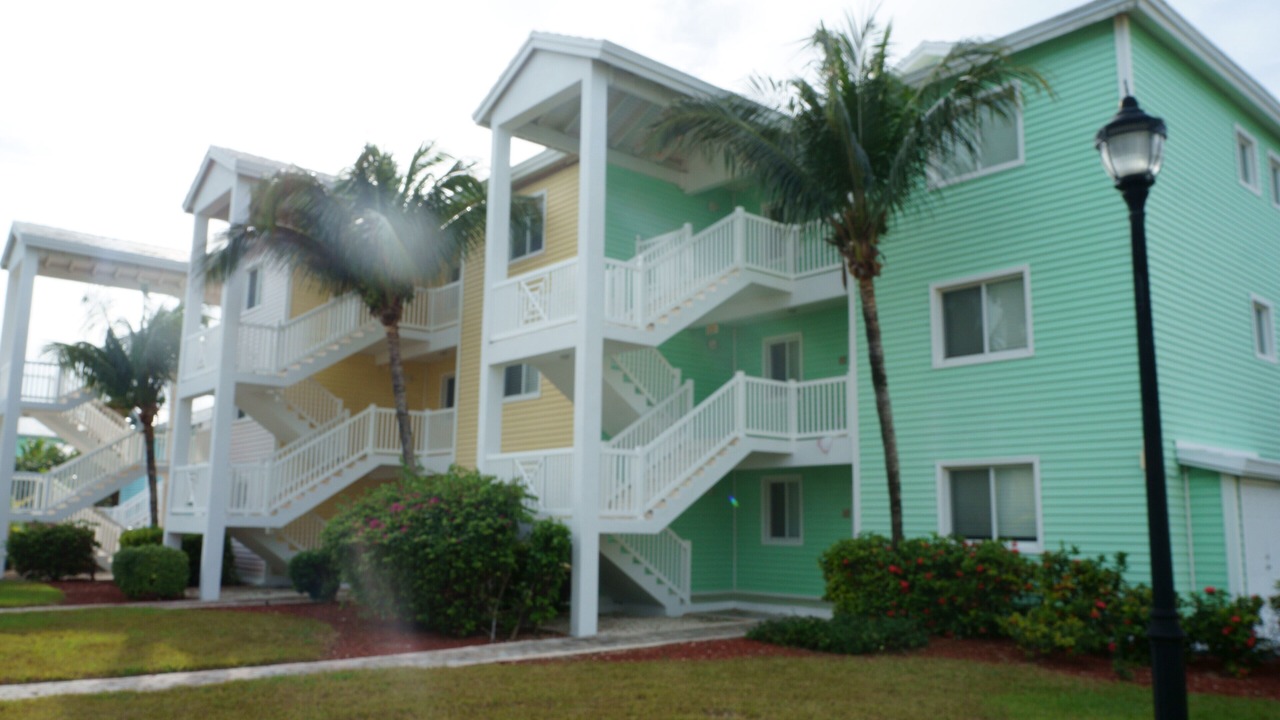 Photo of Outdoor in Alice Town