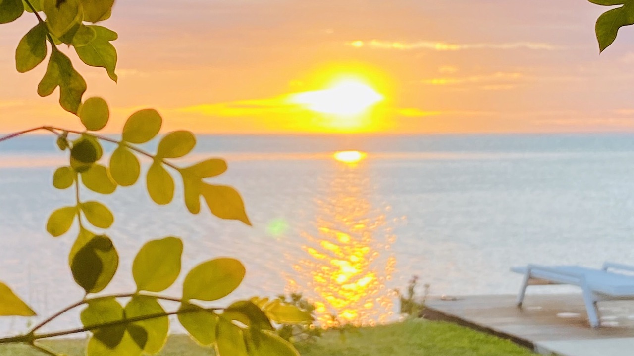 Photo of Outdoor in Paea