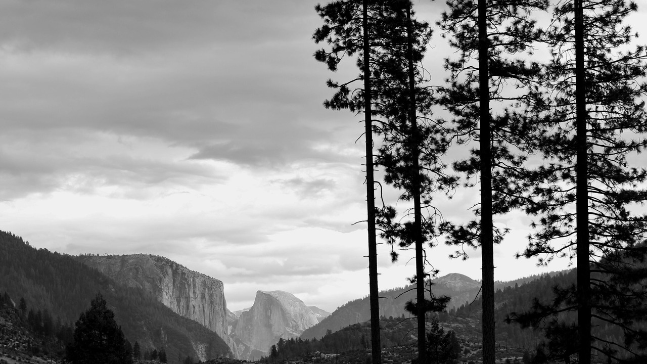 Photo of Others in Foresta