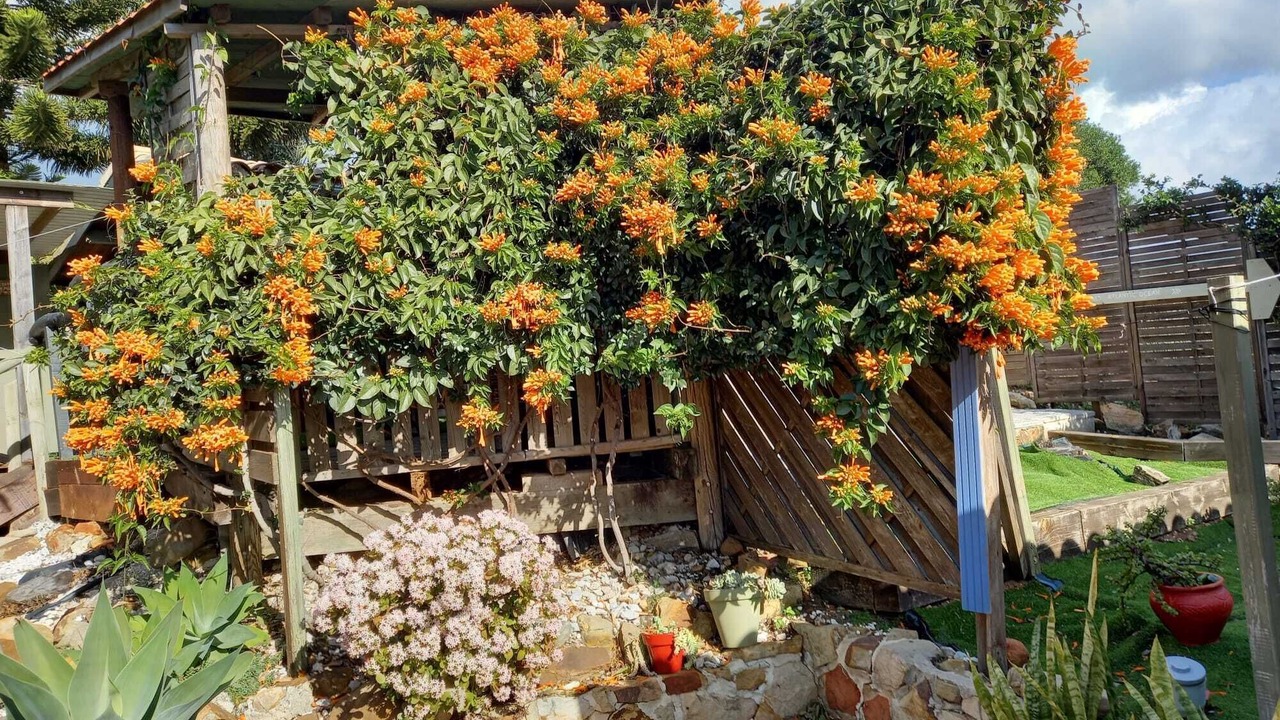 Photo of Outdoor in Tarifa