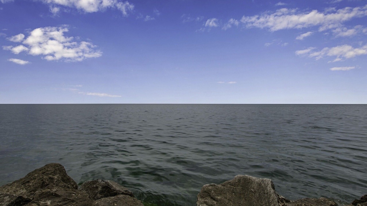 Photo of Others in Wilson