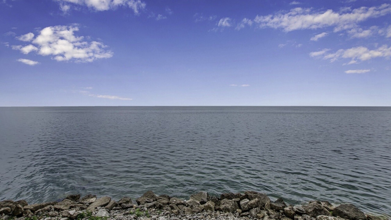 Photo of Others in Wilson