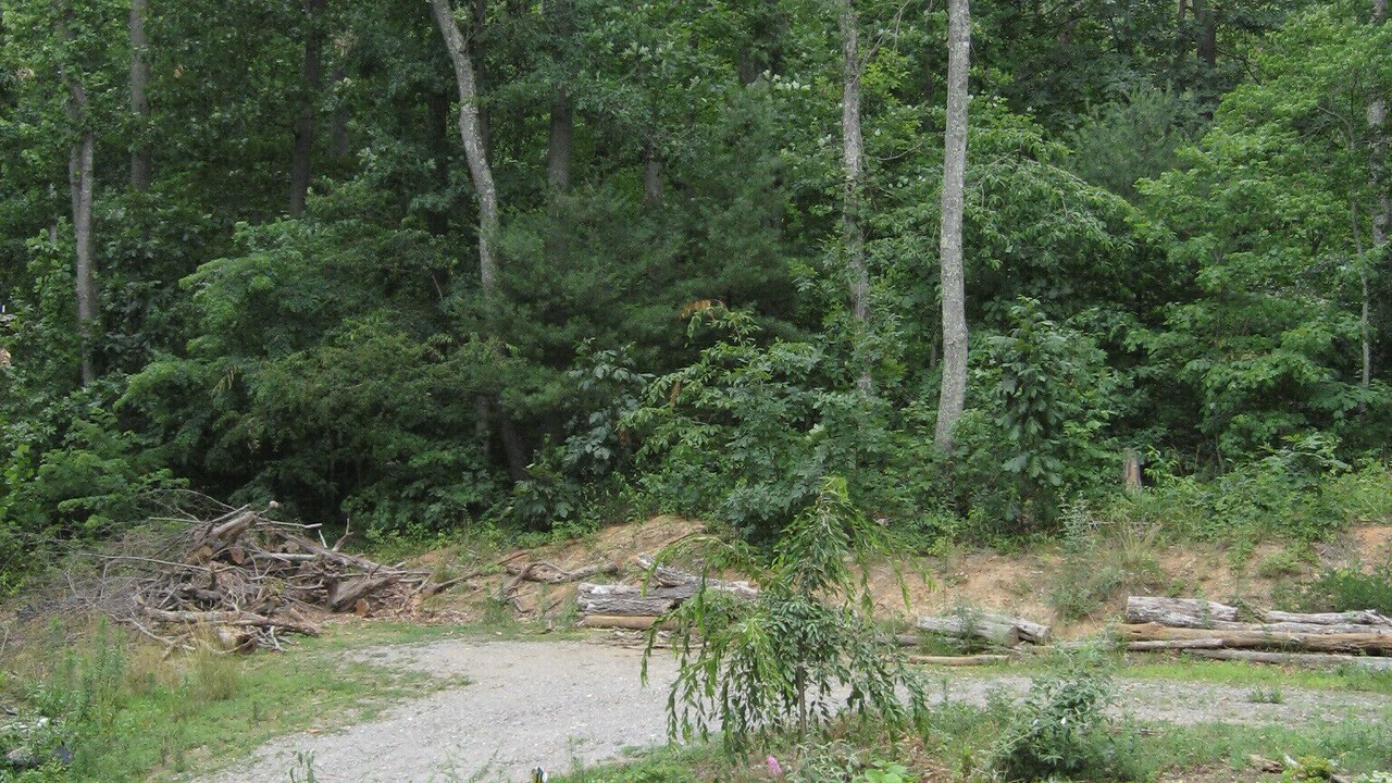 Photo of Outdoor in Asheville
