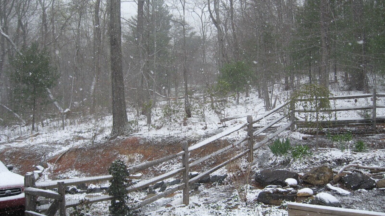 Photo of Outdoor in Asheville
