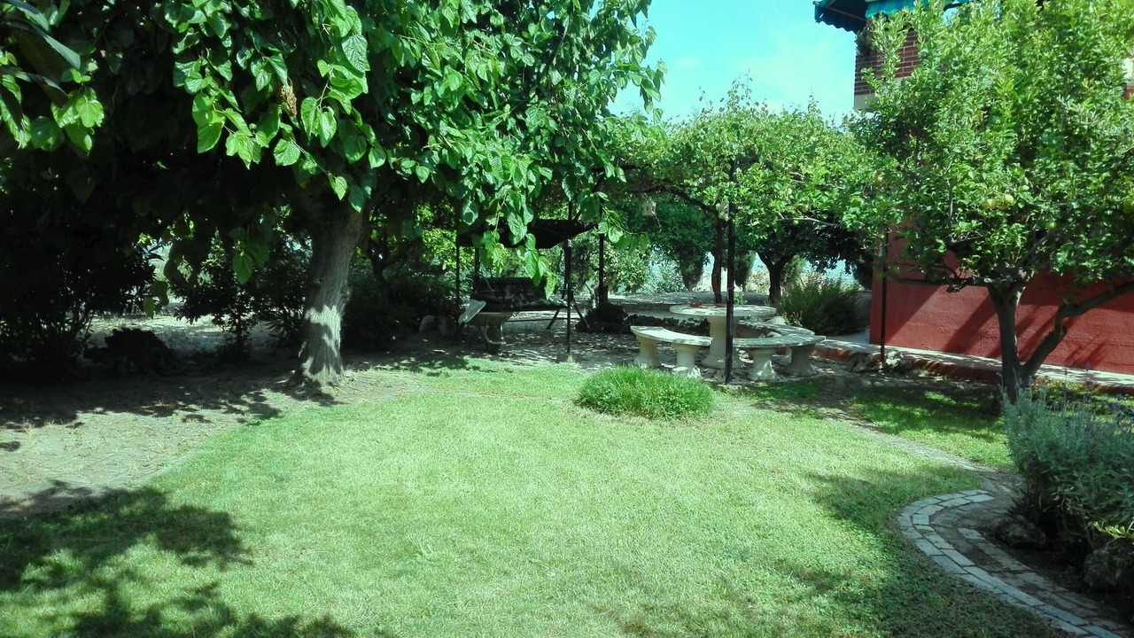 Photo of Outdoor in Beniatjar