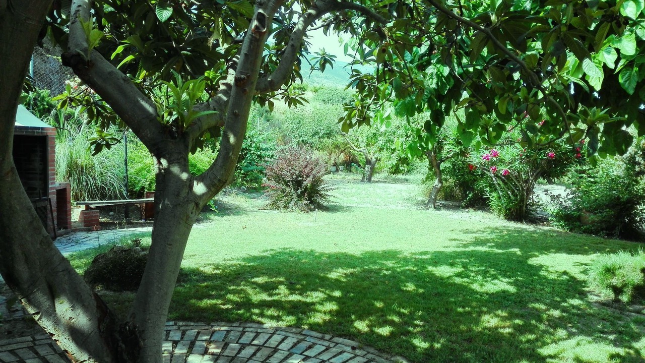Photo of Outdoor in Beniatjar