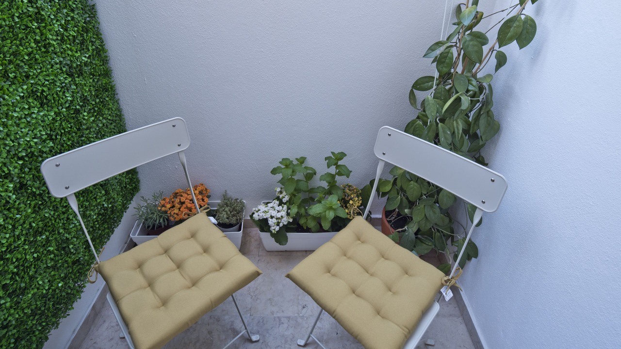 Photo of Outdoor in Principe Real