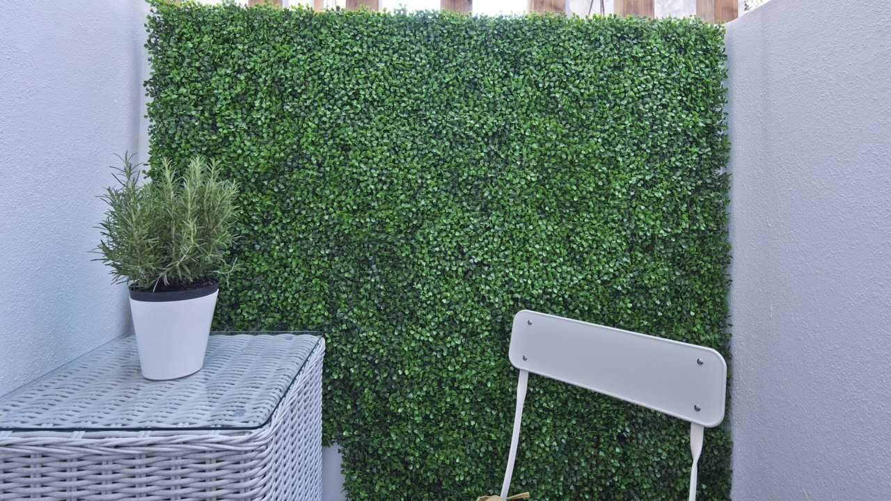 Photo of Outdoor in Principe Real